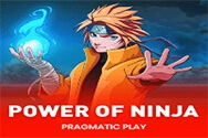 POWER OF NINJA